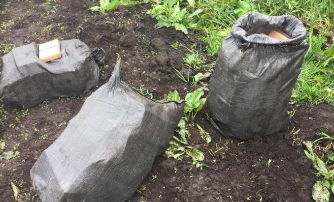 Desarticularon red que enviaba heroína desde la frontera con Ecuador