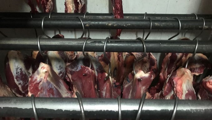 Cerraron dos carnicerías en Bello por contaminación y condiciones sanitarias deficientes