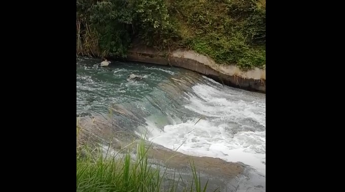 Denuncian que empresa estaría contaminando el río Medellín