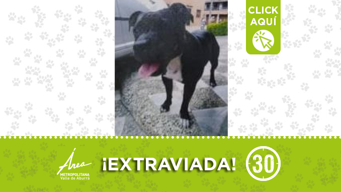 encontrado114