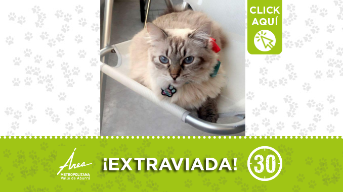 encontrado115