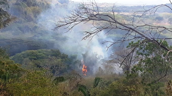 Con un helicóptero, la Fuerza Aérea apoyó las labores de extinción de incendio forestal en Puerto Salgar