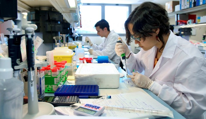 investigadores Copiar