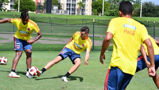 La Selección Colombia enfrentaría a Ecuador en la fecha FIFA de noviembre 1 Entrenamiento Seleccion Colombia de cara a amistoso 61