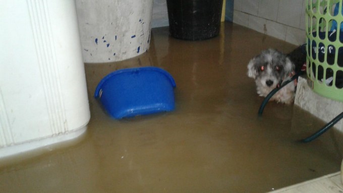 FOTOS: Reportan inundaciones tras fuertes lluvias en Apartadó