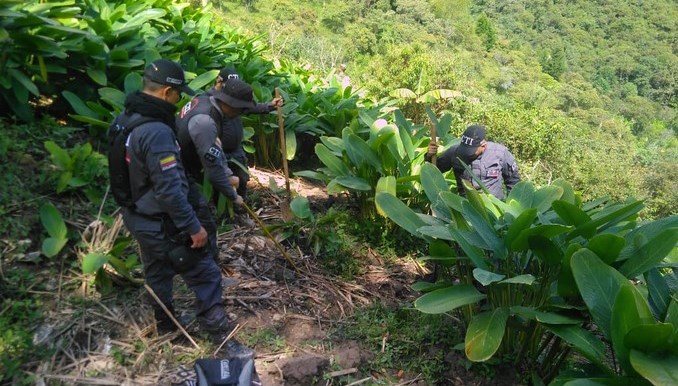 Siguen las labores de búsqueda de los tres jóvenes desaparecidos en la Comuna 13