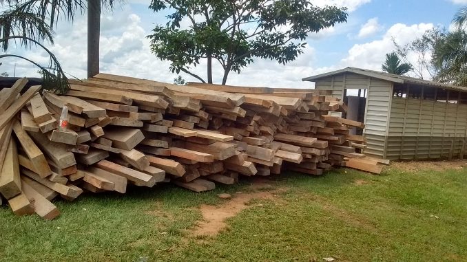 Fueron incautados En Belén de Bajirá más de $15 millones en madera 2 Judicializan a personas señaladas de transportar madera que habría sido extraída ilegalmente de zona de reserva en Meta