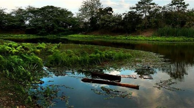 Procuraduría abrió indagación preliminar a siete corporaciones autónomas regionales