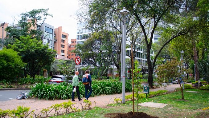 Jardín Botánico de Bogotá suspendió temporalmente la tala de árboles en la carrera novena