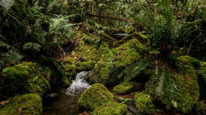 Reapertura de quebrada La Vieja será únicamente por cuatro meses