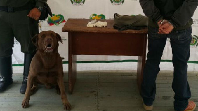 Capturado_unidad_canina