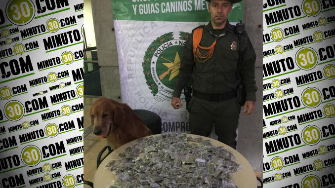 Marihuana_