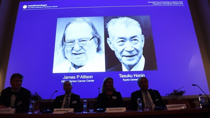 Premio nobel medicina