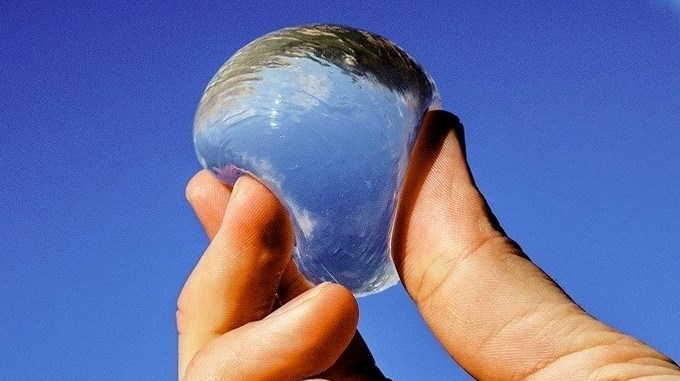 VIDEO: Así son las bolas de agua comestibles ¿Será el fin de las botellas de plástico?