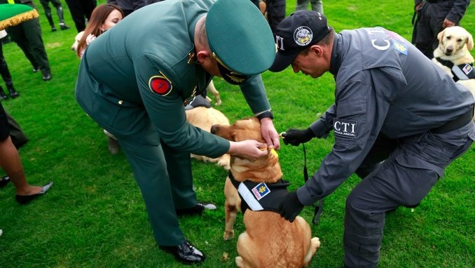 La Alcaldía de Bogotá condecoró a caninos de Fiscalía por su servicio