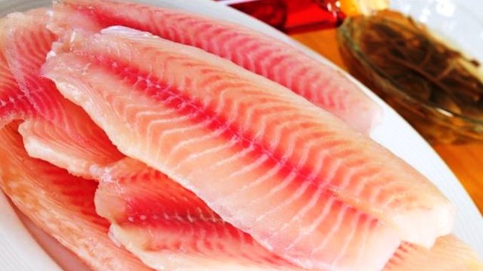 tilapia-colombiana-Copiar