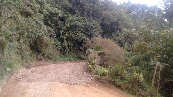 Armenia_Mantequilla_2