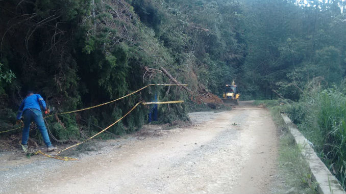 Armenia_Mantequilla_6