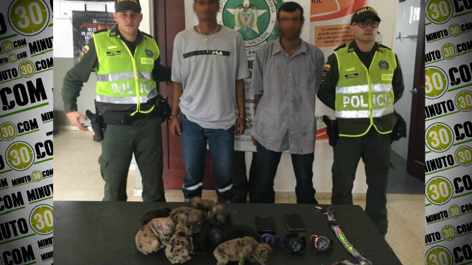 Ladrones_Girardota_finca