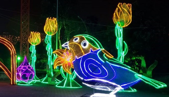 26 millones de bombillas tendrán los Alumbrados Navideños de Medellín