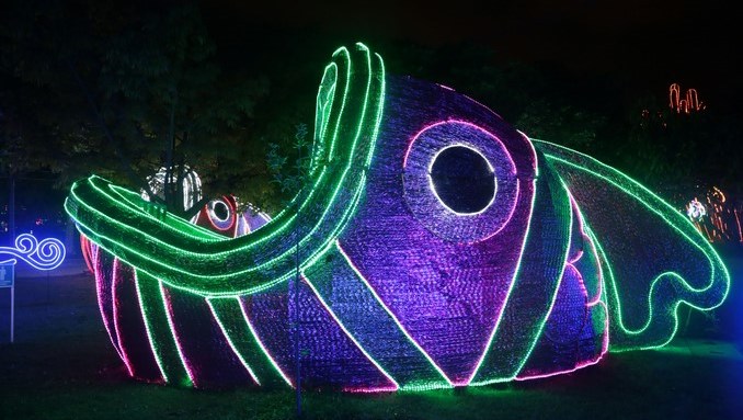 Alumbrados Navideños de Medellín
