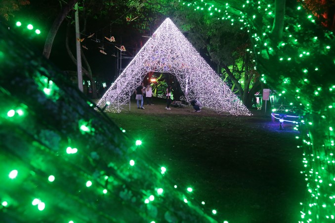 Alumbrados Navideños de Medellín