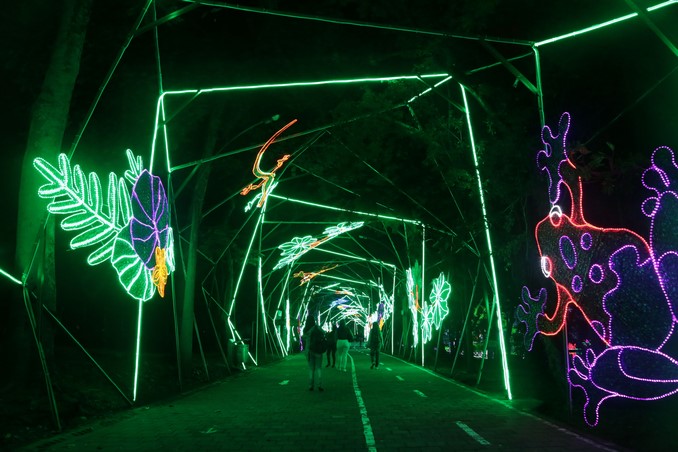 Alumbrados Navideños de Medellín