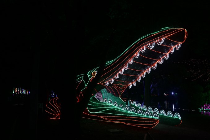 Alumbrados Navideños de Medellín