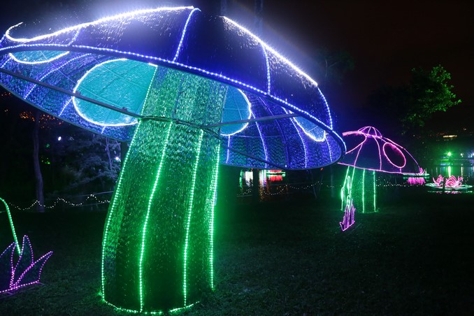 Alumbrados Navideños de Medellín