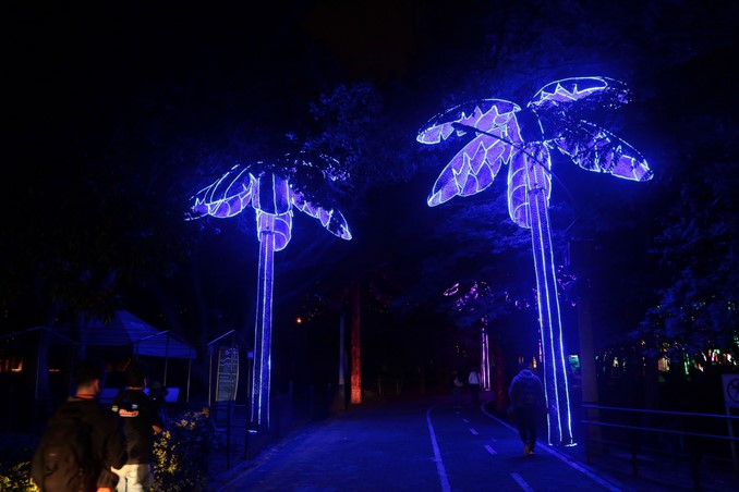 Alumbrados Navideños de Medellín
