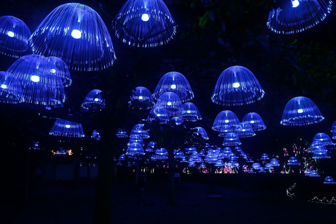 Alumbrados Navideños de Medellín