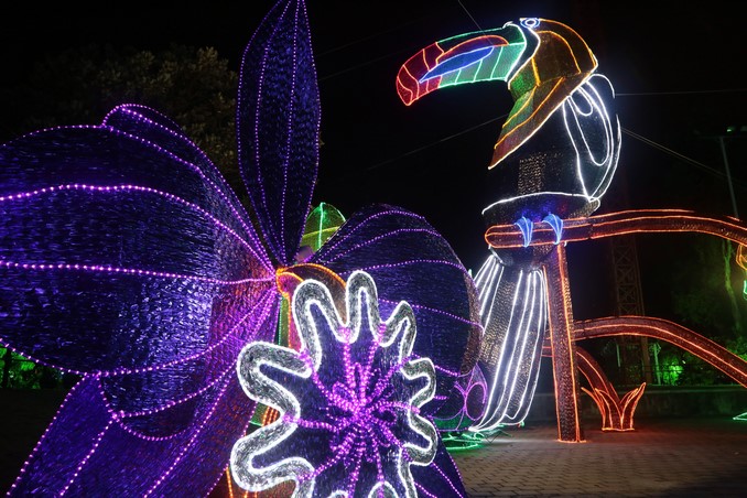 Alumbrados Navideños de Medellín