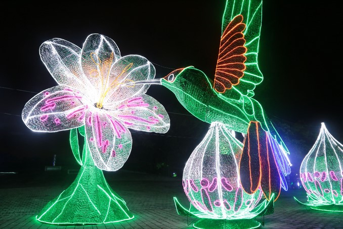 Alumbrados Navideños de Medellín