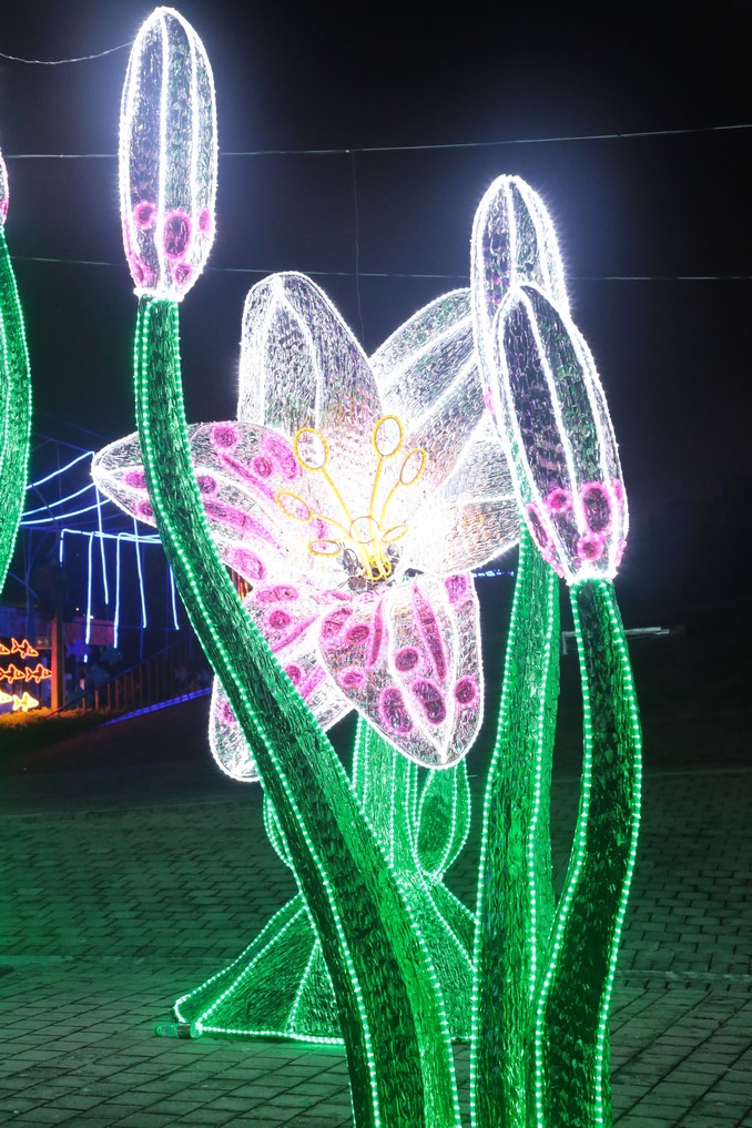 Alumbrados Navideños de Medellín