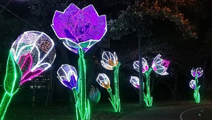 26 millones de bombillas tendrán los Alumbrados Navideños de Medellín