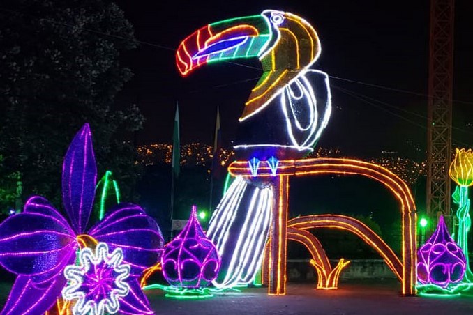 26 millones de bombillas tendrán los Alumbrados Navideños de Medellín