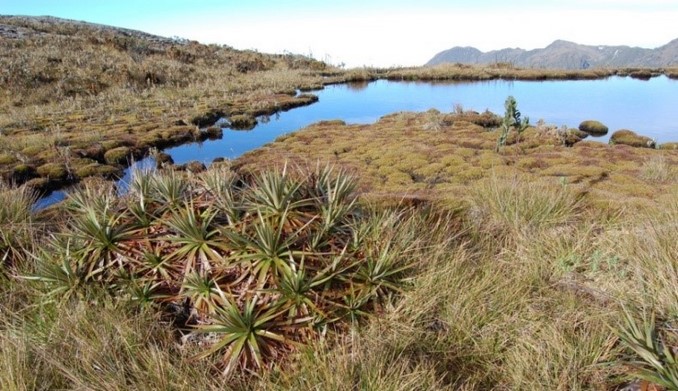 Aparecieron caminantes que se habían perdido en el Parque Nacional Natural Farallones de Cali