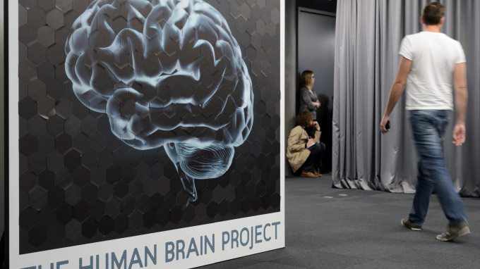 cerebro home
