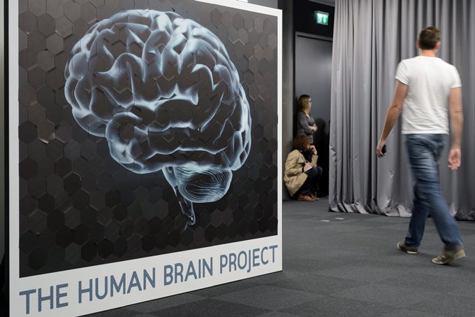 Descubren una nueva región del cerebro que podría vincularse a los movimientos finos 2 cerebro