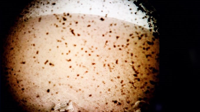 El histórico amartizaje del InSight y otros 6 clics tecnológicos en América