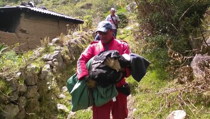Cóndores Santander, envenenados