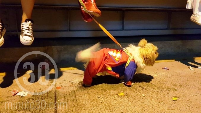 Policía entregó un balance de la celebración de Halloween en Medellín