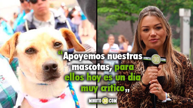 Esta alborada la invitación es a acompañar y cuidar de nuestras mascotas