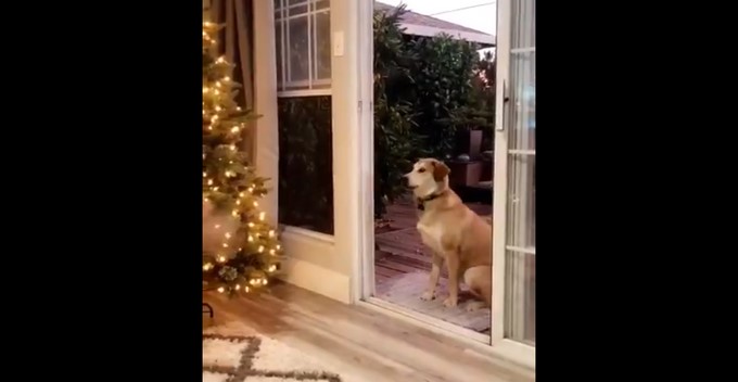 Captura tomada de Twitter: @jensenmares