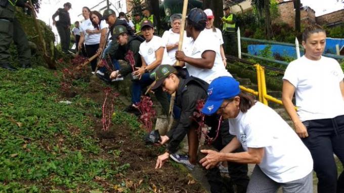FOTOS: “Sembratón” en Medellín por la eliminación de la violencia contra la mujer