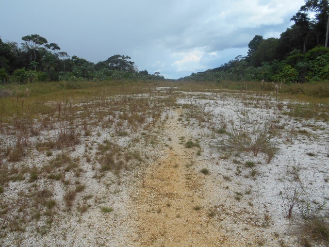 Contraloría reportó millonario daño patrimonial por siete pistas de aterrizaje inconclusas en Vaupés