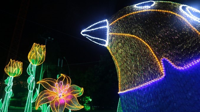 En este puente festivo la recomendación es visitar los Alumbrados Navideños de Medellín