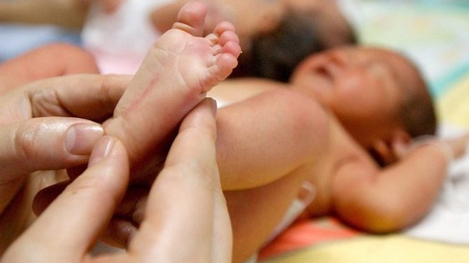 Los bebés de la región representarán alrededor del 7,3 por ciento de los aproximadamente 395.072 bebés que nacerán en el día que marca la llegada del año nuevo a nivel global.