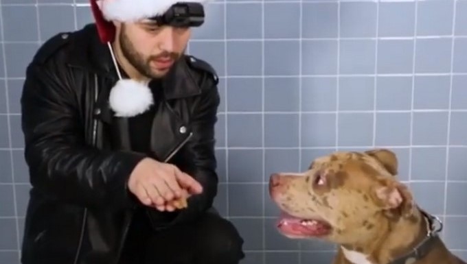 Captura tomada de Instagram: @johnstessel