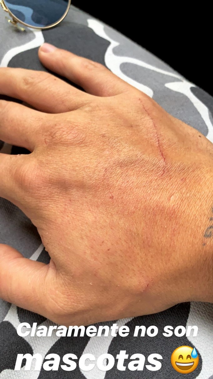 Captura tomada de Instagram: @maluma